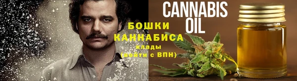 стаф Абдулино