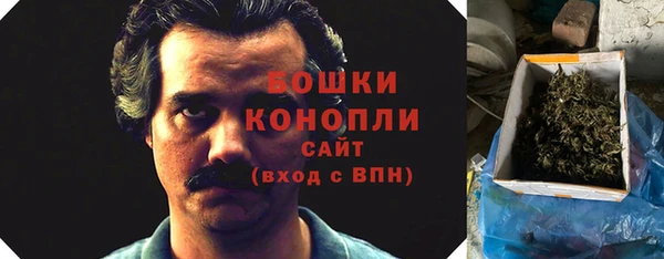PSILOCYBIN Абинск