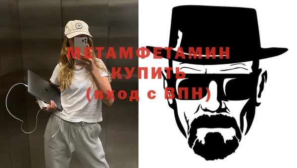 ГАЛЛЮЦИНОГЕННЫЕ ГРИБЫ Козловка