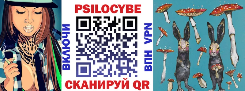 omg как зайти  Норильск  Псилоцибиновые грибы MAGIC MUSHROOMS  даркнет сайт 